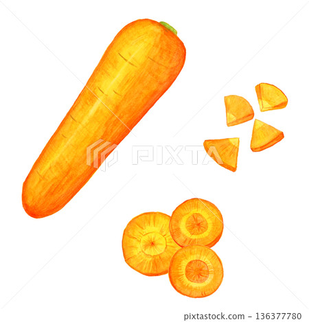 手繪水彩胡蘿蔔套裝 | 包含整根胡蘿蔔、重疊切片和銀杏切片的蔬菜插圖 136377780