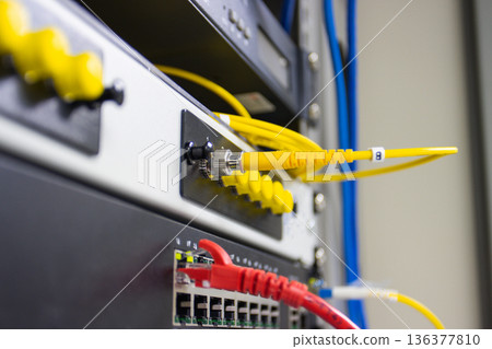 Ethernet cables plugged into network switch ports, showing wired internet connection, IT hardware and data communication equipment Ethernet cables plugged into network switch ports, showing wired internet connection, IT hardware and data communication equipment 136377810