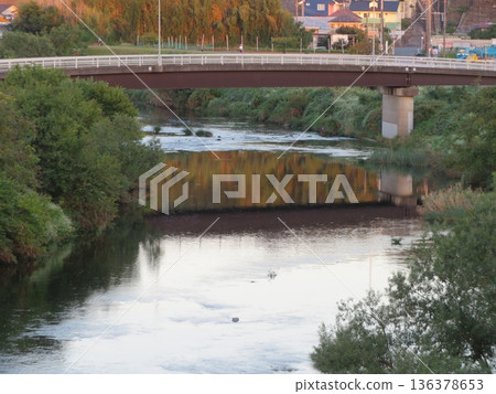Landscape with river Landscape with river 136378653
