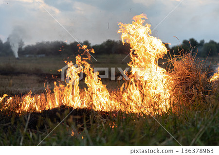 A fire burns in a field with dry grass. 136378963