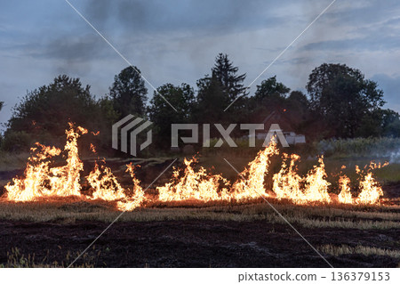 A fire burns in a field with dry grass. A fire burns in a field with dry grass. 136379153