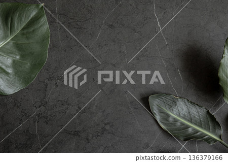 Large natural tropical leaves on marble surface top view. Large natural tropical leaves on marble surface top view. 136379166