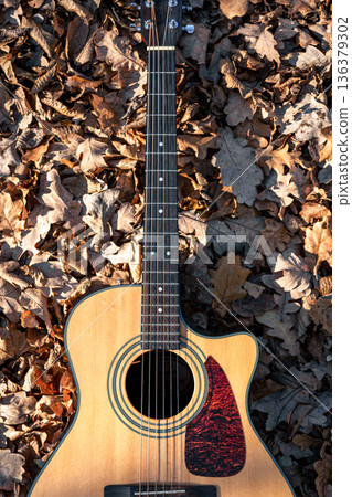 Acoustic guitar in the forest among dry autumn leaves. 136379302
