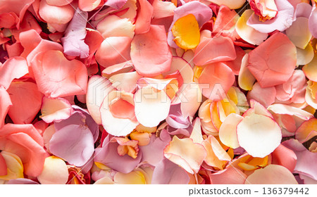 Beautiful bright background of fresh rose petals top view. Beautiful bright background of fresh rose petals top view. 136379442