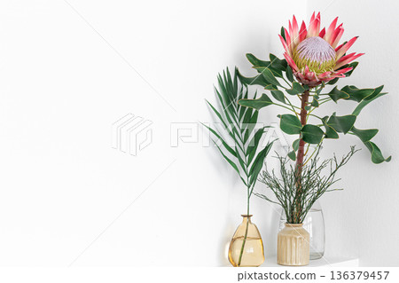 Beautiful protea flower on a white background isolated. Beautiful protea flower on a white background isolated. 136379457