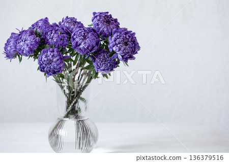 Glass vase with a bouquet of blue chrysanthemums on light background. Glass vase with a bouquet of blue chrysanthemums on light background. 136379516