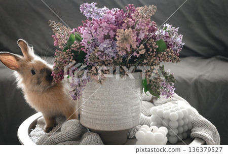A bouquet of flowers, a rabbit and candles on a blurred background. 136379527