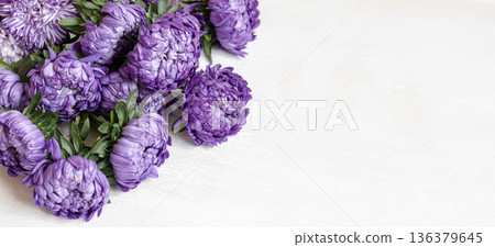 Close-up of a bouquet of fresh blue chrysanthemums on a white background. 136379645