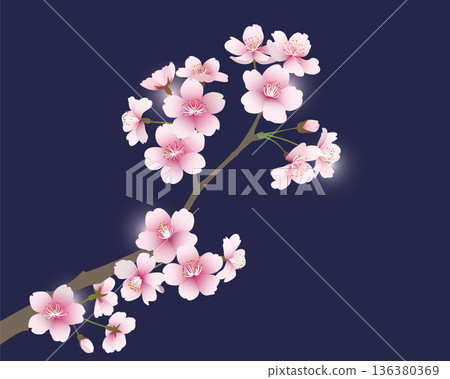 Cherry blossoms (navy background) Cherry blossoms (navy background) 136380369