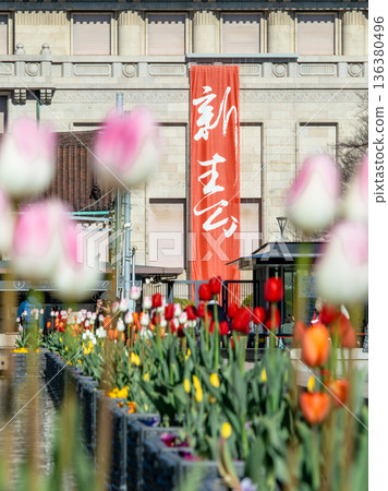 Ice Tulips in Ueno Ice Tulips in Ueno 136380496