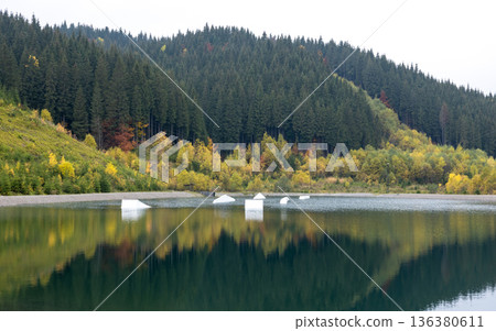 Natural background, lake and forest in the mountains in autumn. 136380611