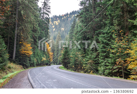 Winding road in a mountainous area in a coniferous forest. Winding road in a mountainous area in a coniferous forest. 136380692