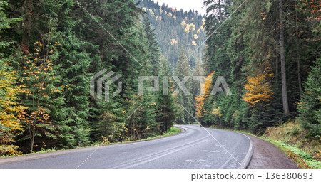 Winding road in a mountainous area in a coniferous forest. 136380693