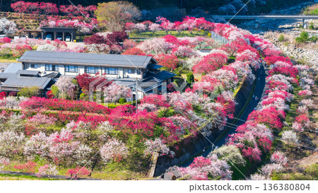 Hanamo no Sato Hanamo no Sato 136380804