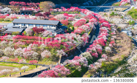 Hanamo no Sato 136380806