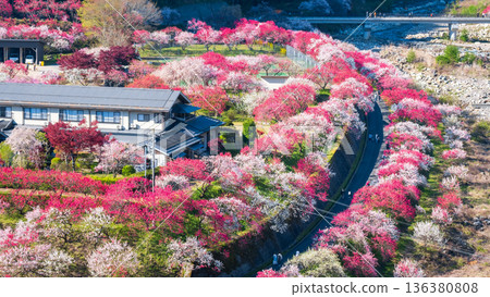 Hanamo no Sato Hanamo no Sato 136380808