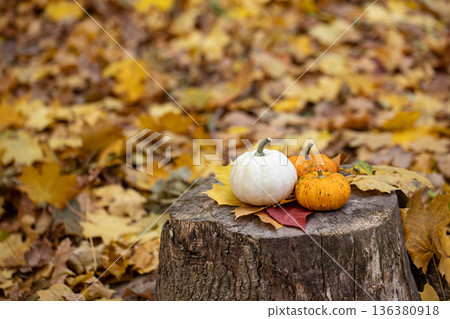 Small pumpkins on a stump in the autumn forest. Small pumpkins on a stump in the autumn forest. 136380918