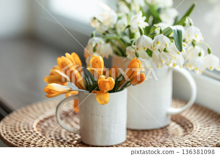 Spring composition with snowdrops and crocuses, close up. Spring composition with snowdrops and crocuses, close up. 136381098
