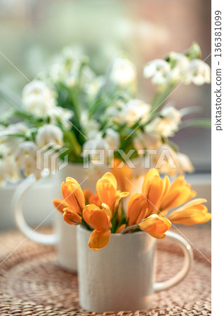 Spring composition with snowdrops and crocuses, close up. Spring composition with snowdrops and crocuses, close up. 136381099