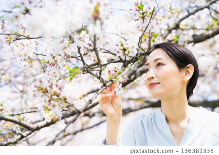 Young woman looking at cherry blossom petals Lifestyle image Young woman looking at cherry blossom petals Lifestyle image 136381335