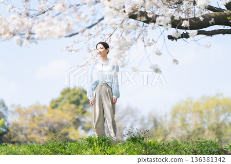 Young woman looking up at the cherry blossom tree Lifestyle image Young woman looking up at the cherry blossom tree Lifestyle image 136381342