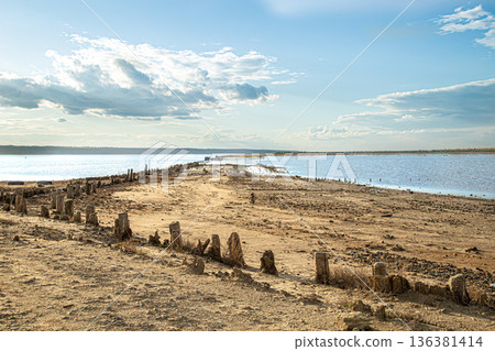 Wooden columns protrude from the kuyalnitsky estuary Wooden columns protrude from the kuyalnitsky estuary 136381414