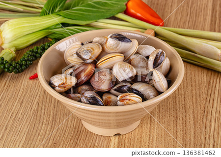 Raw fresh wild clams mollusc 136381462