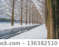 Snow scene of metasequoia trees in Shiga 136382510