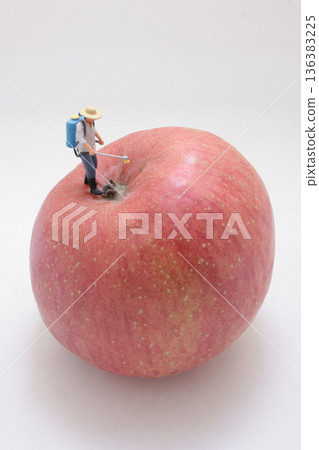 Miniature farmer sprays surface of giant red apple Miniature farmer sprays surface of giant red apple 136383225