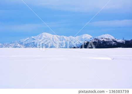 Snowy field · Echigo Miyama snow scene 136383739