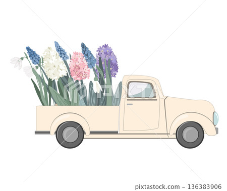 Beige vintage truck with spring flowers in the back. Hello Spring concept. Easter, woman day or birthday card. Flower delivery, vector isolated illustration. Beige vintage truck with spring flowers in the back. Hello Spring concept. Easter, woman day or birthday card. Flower delivery, vector isolated illustration. 136383906