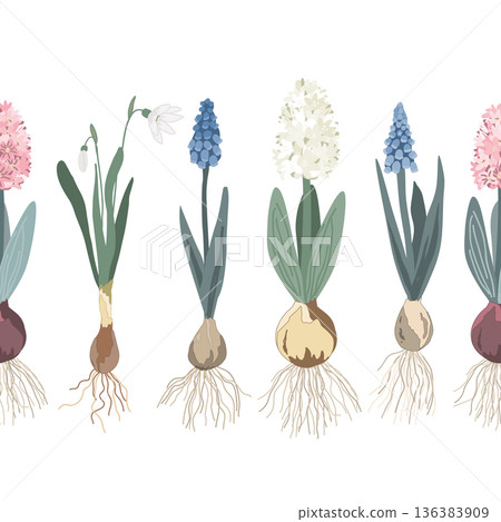 Botanical seamless border design with rooted first spring flowers. Vector pattern illustration. 136383909