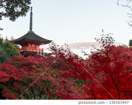 Kiyomizu Temple in autumn Kiyomizu Temple in autumn 136383947