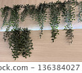 Artificial green leaves displayed on the wall 136384027