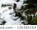 Pine needles, icicles 136384164