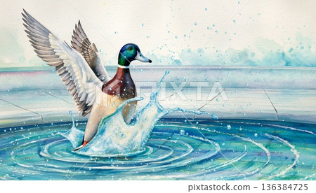 Watercolor illustration of a duck splashing water 136384725