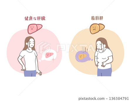 Healthy liver and fatty liver woman illustration set 136384791