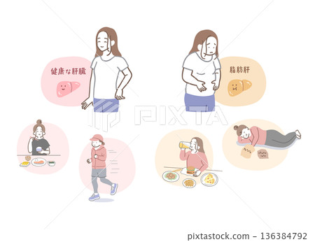 Healthy liver and fatty liver woman illustration set 136384792