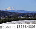 Snow-covered Sayama tea fields and Mount Fuji 136384886