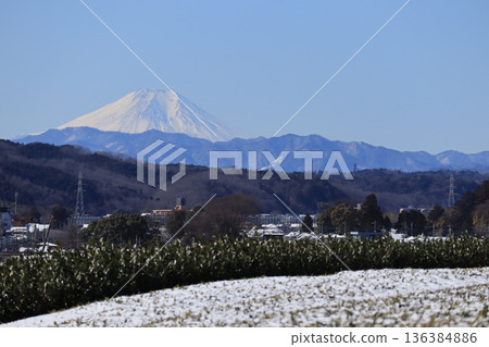 白雪皚皚的狹山茶園和富士山 白雪皚皚的狹山茶園和富士山 136384886