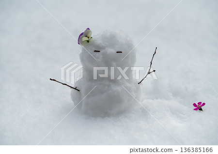 Snowman Snowman 136385166