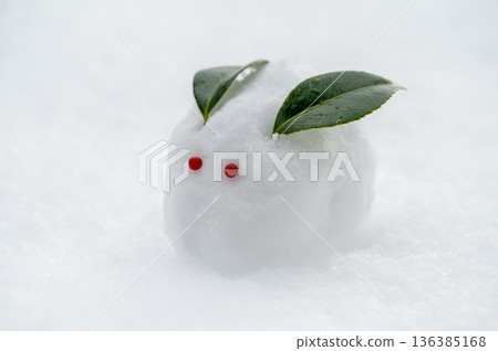 一隻雪兔 一隻雪兔 136385168