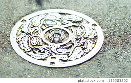 Sewage manhole in Ichikawa City 136385202