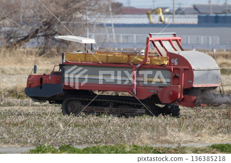 在蓮藕田撒施堆肥 136385218