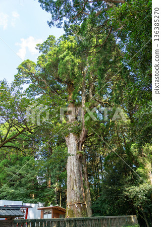 Kirishima Shrine Kirishima Shrine 136385270