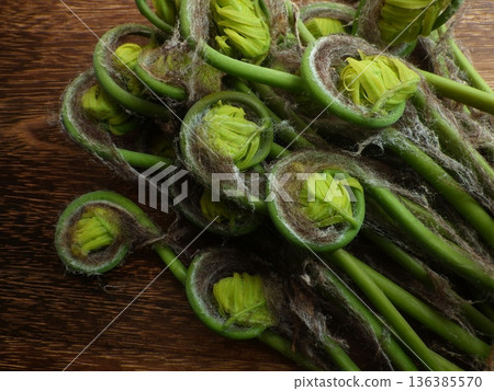 Springfish發芽 Springfish發芽 136385570