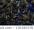 dried flower petals 136385576
