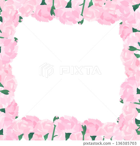Light pink carnation transparent background frame_square 136385703