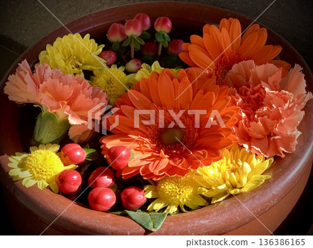 二月愛知縣岡崎市菅尾神宮的花水噴泉(非洲菊、康乃馨、菊花、金絲桃) 二月愛知縣岡崎市菅尾神宮的花水噴泉(非洲菊、康乃馨、菊花、金絲桃) 136386165