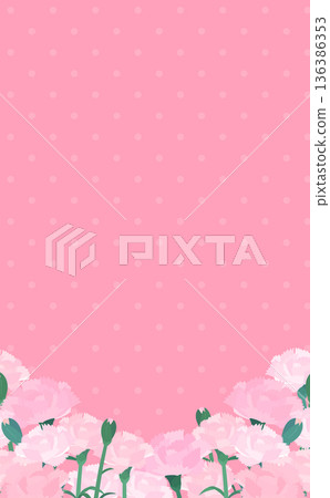 淺粉紅康乃馨背景框_底部_垂直 淺粉紅康乃馨背景框_底部_垂直 136386353